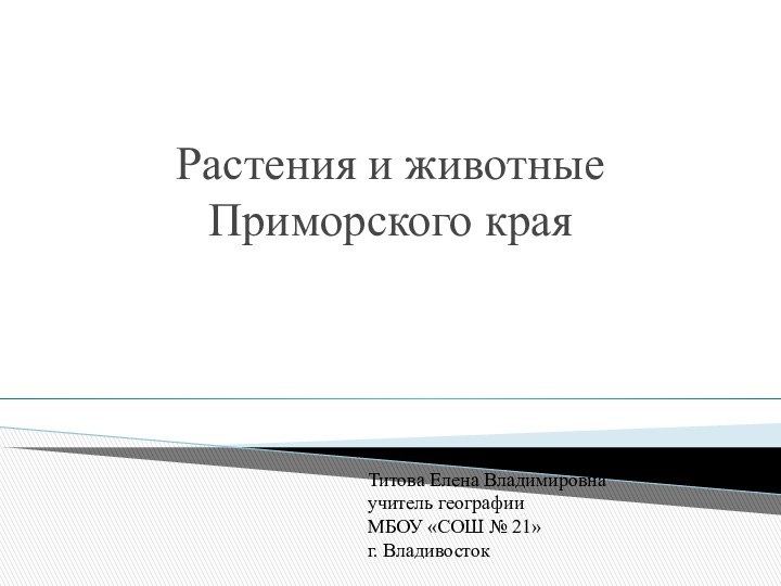 Растения и животные Приморского края Титова Елена Владимировна