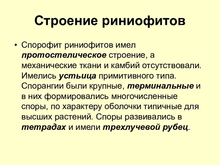 Строение риниофитовСпорофит риниофитов имел протостелическое строение, а механические ткани и камбий отсутствовали.