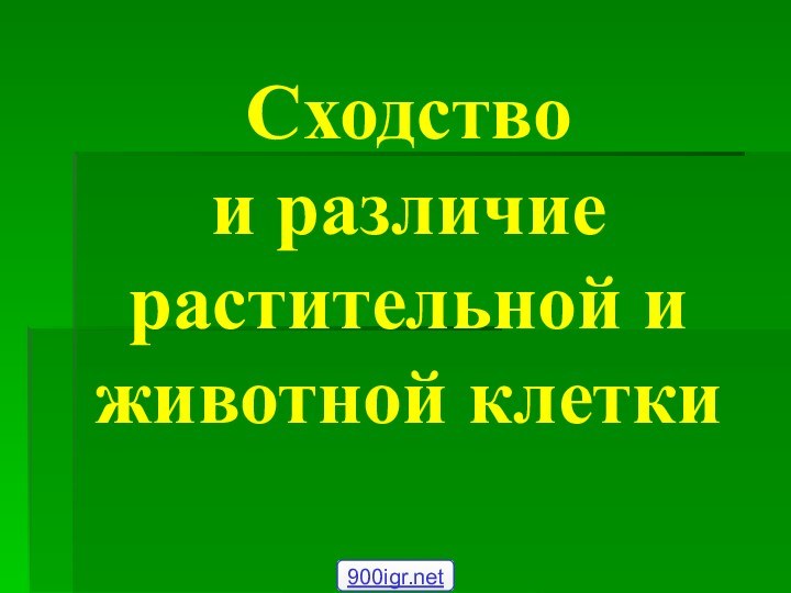 Сходство  и различие растительной и животной клетки