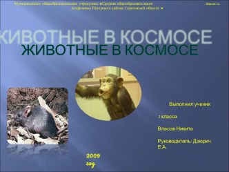 Животные в космосе