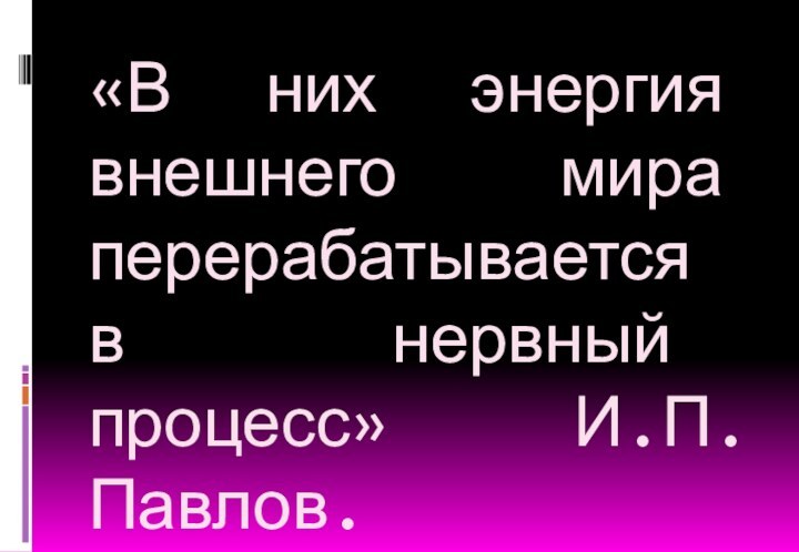 «В них энергия внешнего мира перерабатывается в нервный процесс» И.П.Павлов.