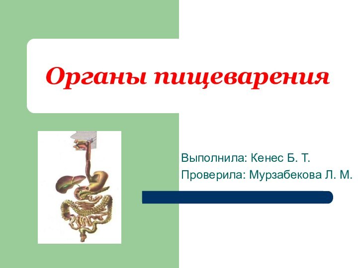 Органы пищеваренияВыполнила: Кенес Б. Т.Проверила: Мурзабекова Л. М.