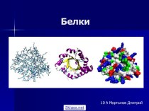 Структура молекулы белка