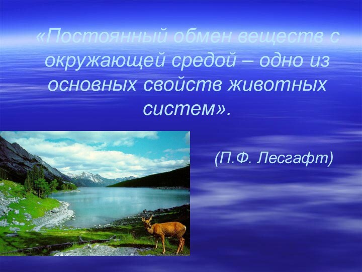 «Постоянный обмен веществ с окружающей средой – одно из основных свойств животных