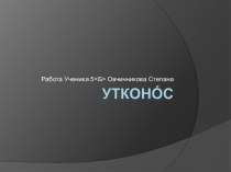 Утконос