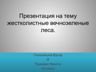 Жестколистные вечнозеленые леса