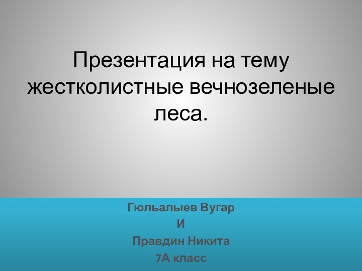 Презентация на тему жестколистные вечнозеленые леса. Гюльалыев ВугарИПравдин Никита7А класс