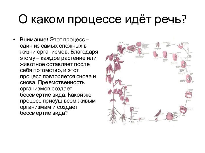 О каком процессе идёт речь?Внимание! Этот процесс – один из самых сложных