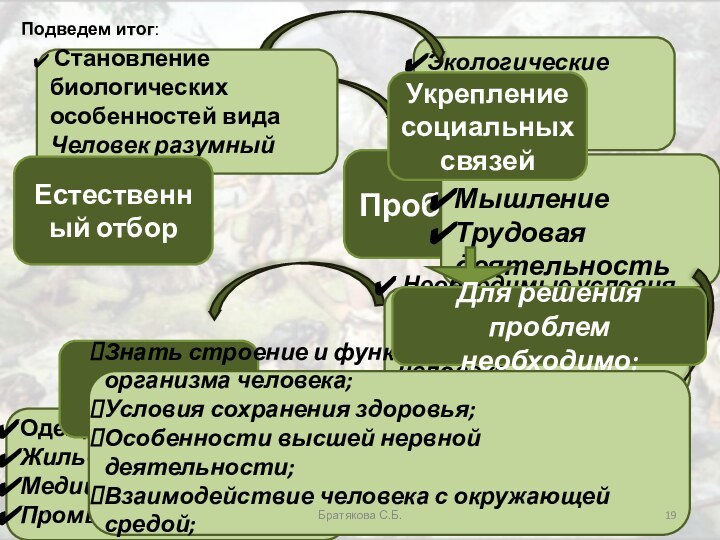 ЭкологическиеМедицинскиеСоциальныеПроблемы Становление биологических особенностей вида Человек разумный Естественный отбор РечьМышлениеТрудовая деятельностьУкрепление