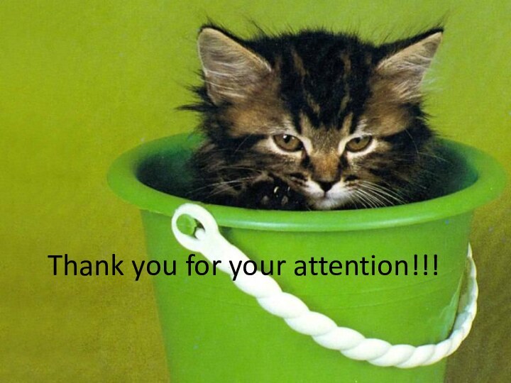 Thank you for your attention!!!