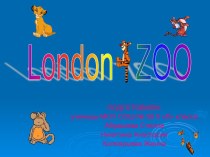 London ZOO