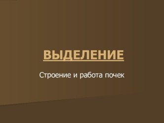 Выделение Строение и работа почек