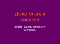 Дыхательная система