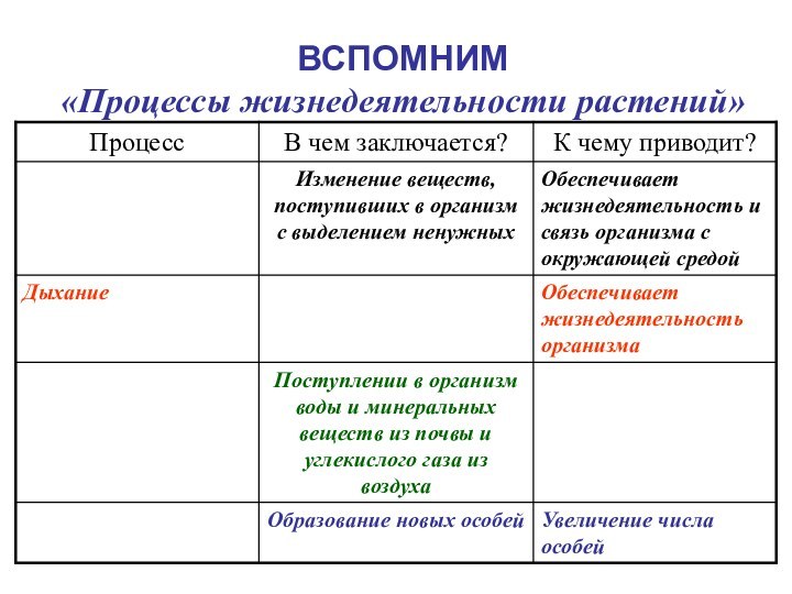 ВСПОМНИМ  «Процессы жизнедеятельности растений»