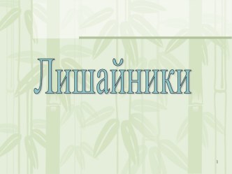 Лишайники