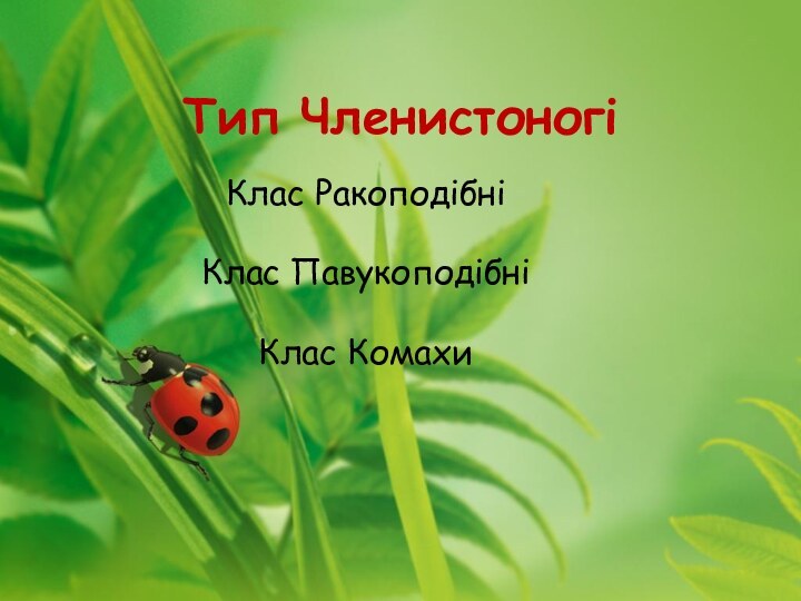 Тип ЧленистоногіКлас РакоподібніКлас ПавукоподібніКлас Комахи