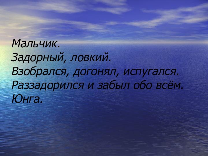 Мальчик. Задорный, ловкий. Взобрался, догонял, испугался. Раззадорился и забыл обо всём. Юнга.