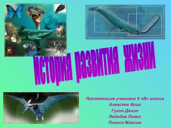 Презентация учеников 8 «В» классаАлексеев ИльяГугин ДанилЛебедев ПавелПлакса МаксимИстория развития  жизни