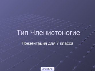 Строение членистоногих