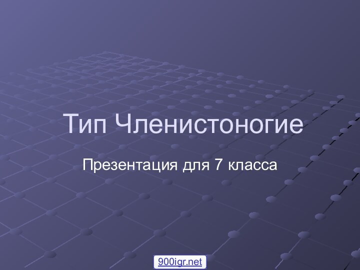 Тип ЧленистоногиеПрезентация для 7 класса