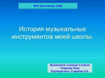 История музыкальных инструментов моей школы