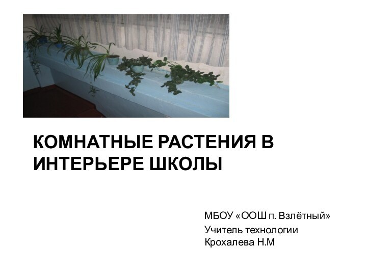 комнатные растения в интерьере школыМБОУ «ООШ п. Взлётный»Учитель технологии Крохалева Н.М