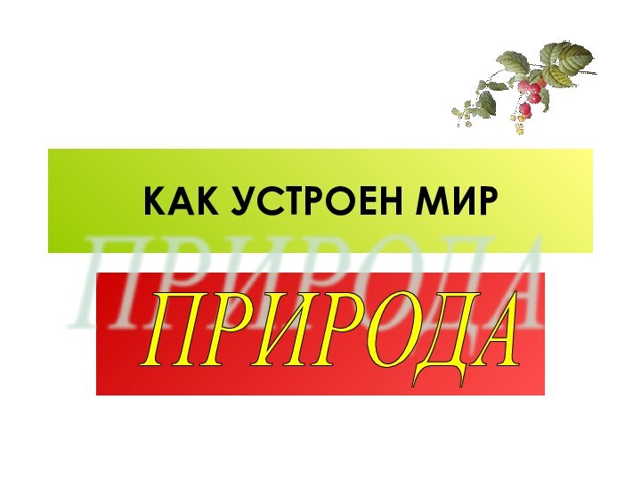 КАК УСТРОЕН МИРПРИРОДА