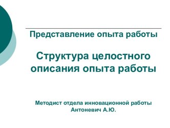 Структура целостного описания опыта работы