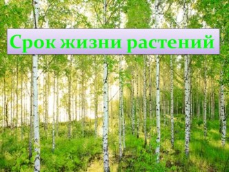 Срок жизни растений