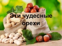 Проект Эти чудесные орехи