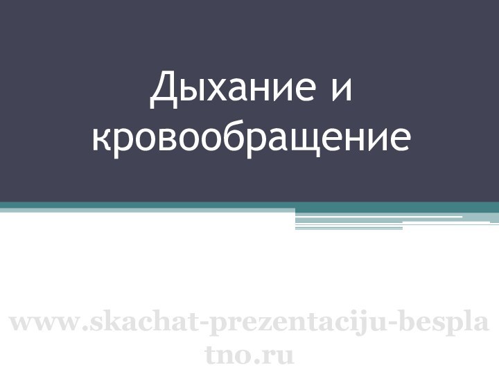 Дыхание и кровообращениеwww.skachat-prezentaciju-besplatno.ru