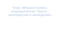 Вторая ступень: огородничество. Третья - скотоводство и земледелие