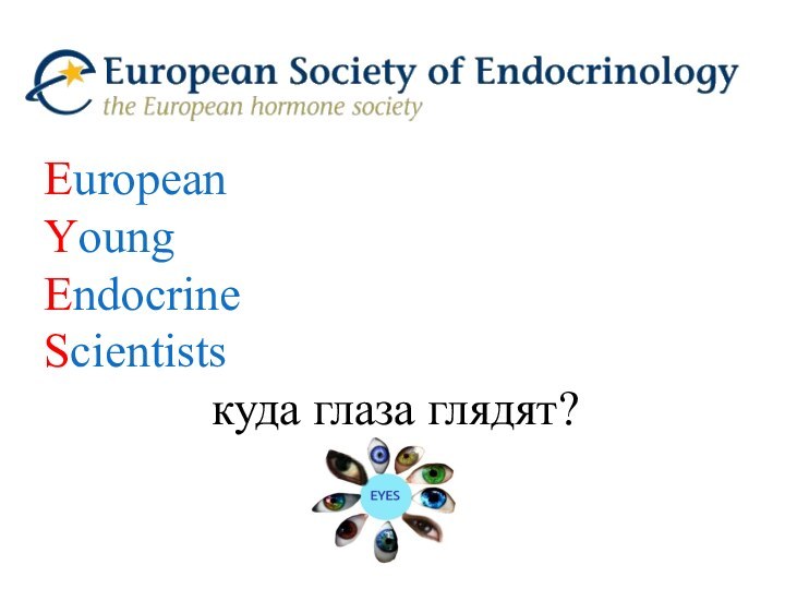 European Young Endocrine Scientists        куда глаза глядят? 