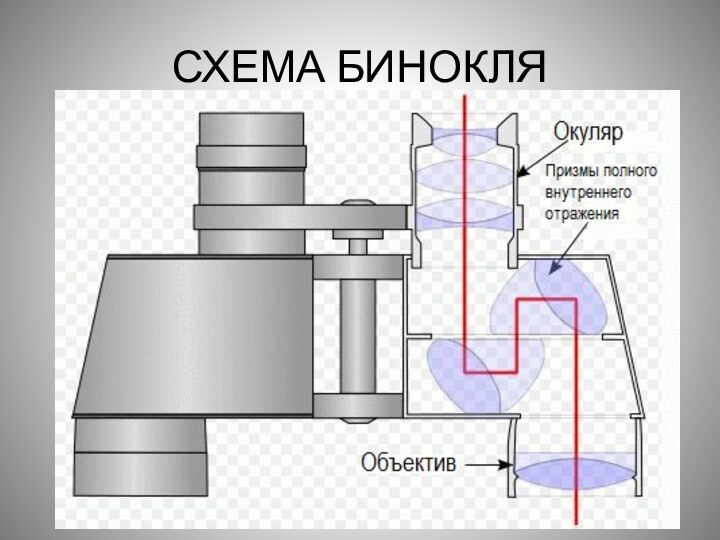 СХЕМА БИНОКЛЯ