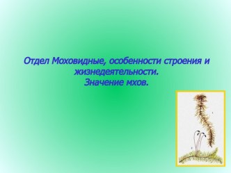 Отдел моховидные,особенности строения и жизнидеятельности. Значение мхов