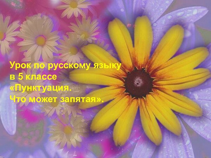 Урок по русскому языкув 5 классе«Пунктуация. Что может запятая».