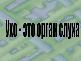 Ухо - это орган слуха