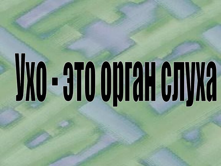 Ухо - это орган слуха