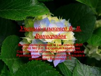 Ученый-языковед В. В. Виноградов