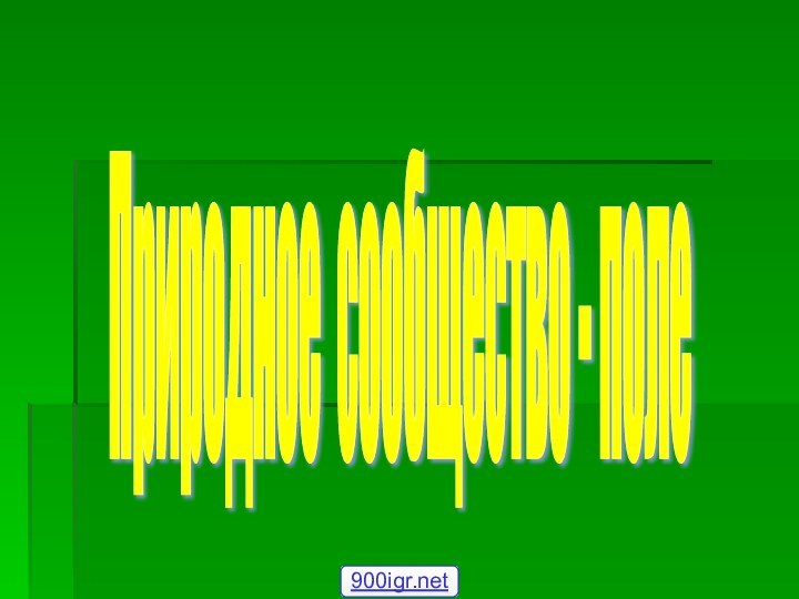 Природное сообщество - поле