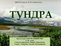 Тундра