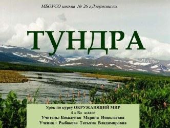 Тундра