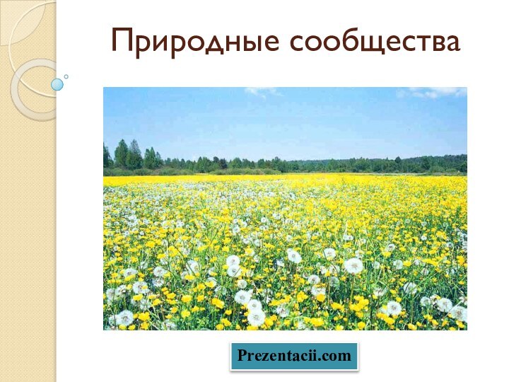 Природные сообщества Prezentacii.com