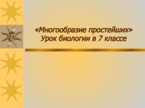 МНОГООБРАЗИЕ ПРОСТЕЙШИХ. УРОК БИОЛОГИИ В 7 КЛАССЕ