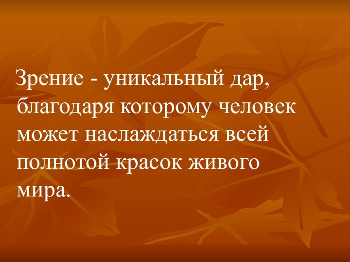 Зрение - уникальный дар, благодаря которому человек может наслаждаться всей