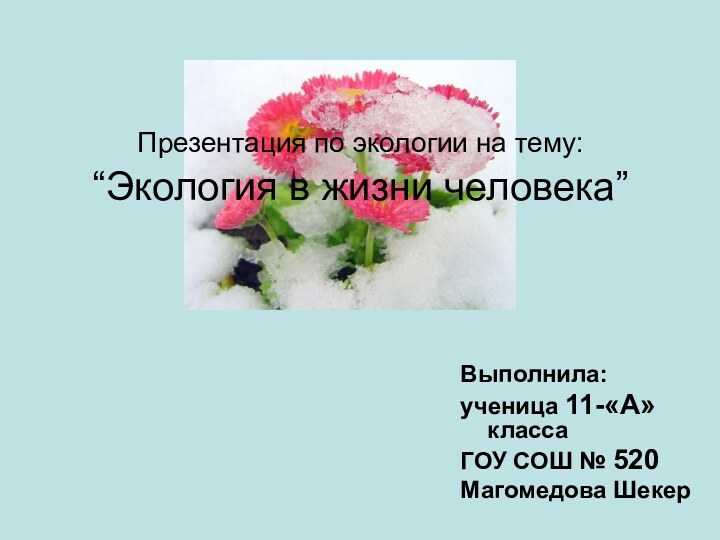 Презентация по экологии на тему:  “Экология в жизни человека” Выполнила: ученица