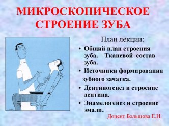 МИКРОСКОПИЧЕСКОЕ СТРОЕНИЕ ЗУБА