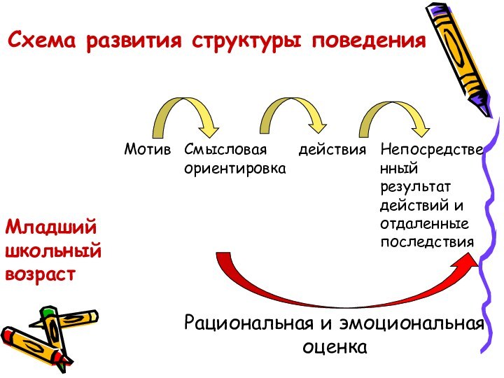 Схема развития структуры поведения