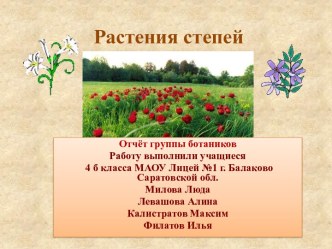 Растения степей