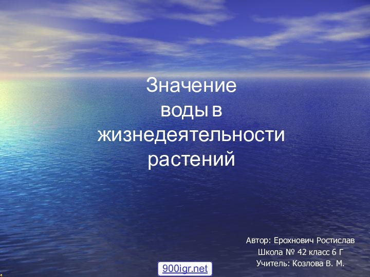 Значение воды в жизнедеятельности растений Автор: Ерохнович Ростислав Школа № 42 класс